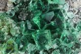 Fluorite Crystal Cluster - Rogerley Mine #99456-3
